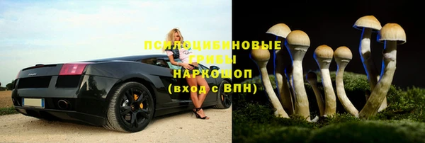 ПСИЛОЦИБИНОВЫЕ ГРИБЫ Вяземский