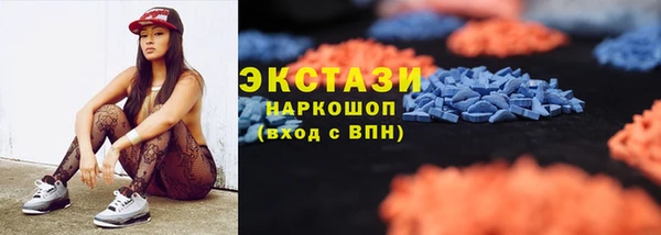индика Волоколамск