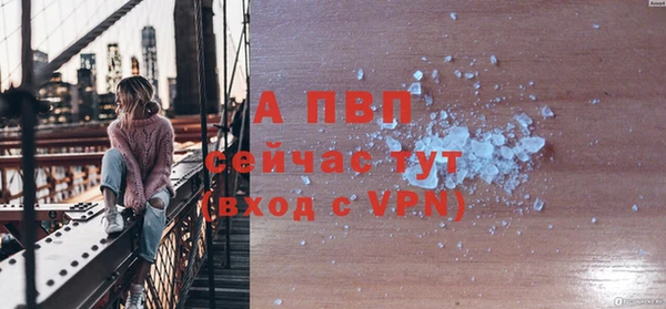 ПСИЛОЦИБИНОВЫЕ ГРИБЫ Вяземский