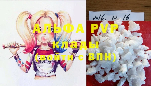 индика Волоколамск