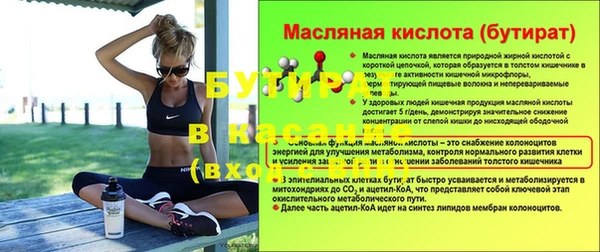 индика Волоколамск