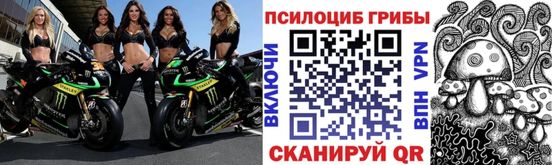 Псилоцибиновые грибы Magic Shrooms  Купить  Лесозаводск 